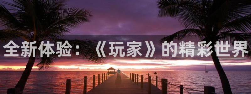 极悦娱乐平台官网注册：全新体验：《玩家》的精彩世界