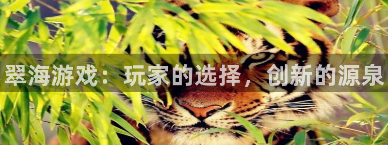 极悦娱乐游戏：翠海游戏：玩家的选择，创新的源泉