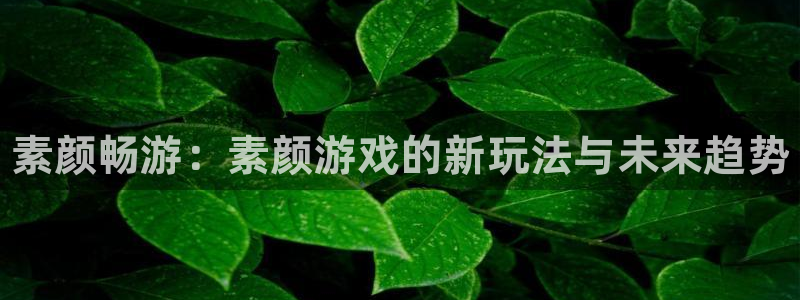 极悦娱乐登陆测速：素颜畅游：素颜游戏的新玩法与未来趋势