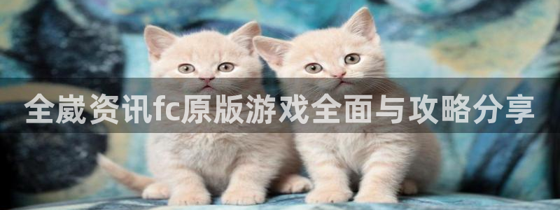 极悦娱乐注册网站：全崴资讯fc原版游戏全面与攻略分享