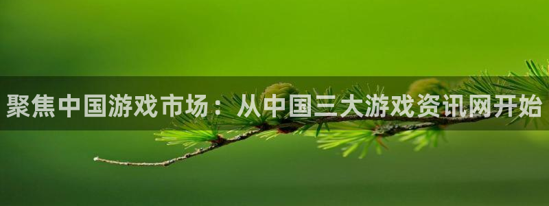 极悦娱乐官方登录网址：聚焦中国游戏市场：从中国三大游戏资讯网