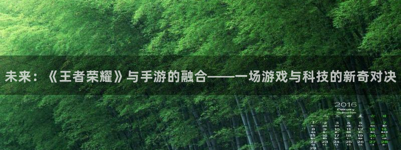 极悦娱乐主管：未来：《王者荣耀》与手游的融合——一场游戏与科
