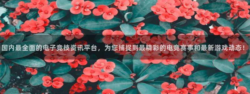 极悦娱乐官方登录网址：国内最全面的电子竞技资讯平台，为您捕捉