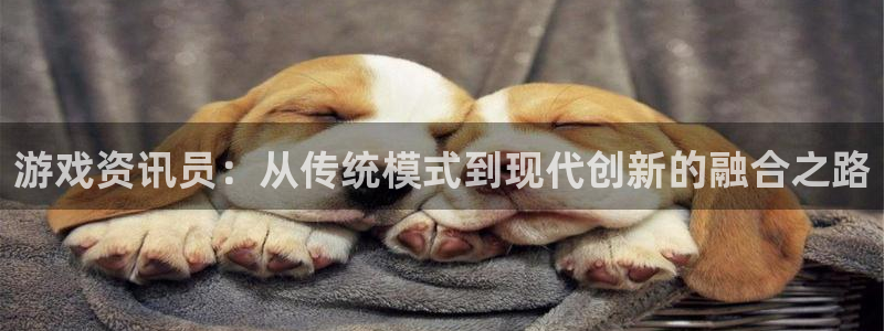 极悦娱乐主管：游戏资讯员：从传统模式到现代创新的融合之路