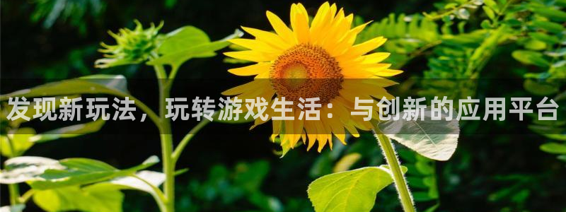 极悦娱乐登录地址：发现新玩法，玩转游戏生活：与创新的应用平台