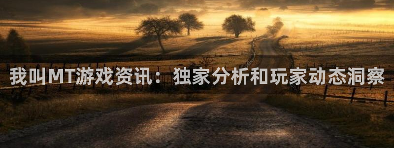 极悦娱乐网址注册：我叫MT游戏资讯：独家分析和玩家动态洞察