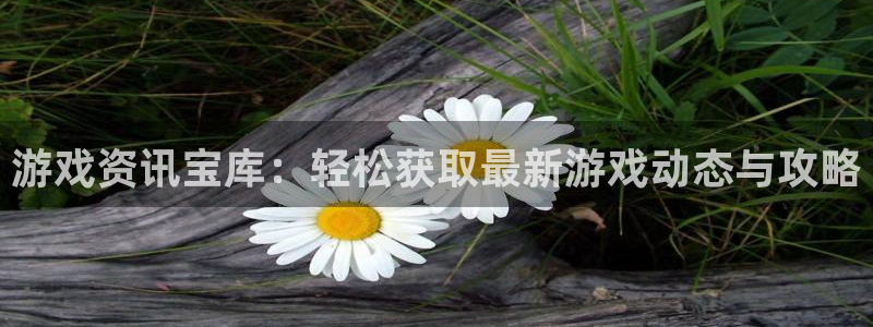 极悦娱乐平台：游戏资讯宝库：轻松获取最新游戏动态与攻略