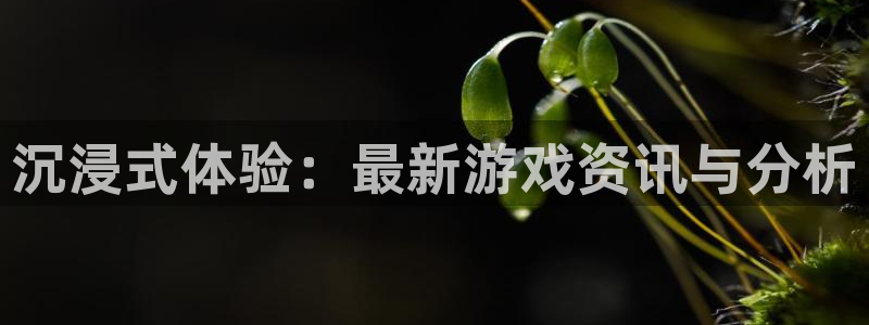 极悦娱乐：沉浸式体验：最新游戏资讯与分析